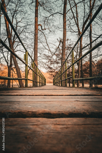 Wooden Footbridge in Forest with Leading Lines