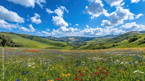 Expansive meadow bursting with wildflowers under a vibrant sky. Lush green hills roll into the distance