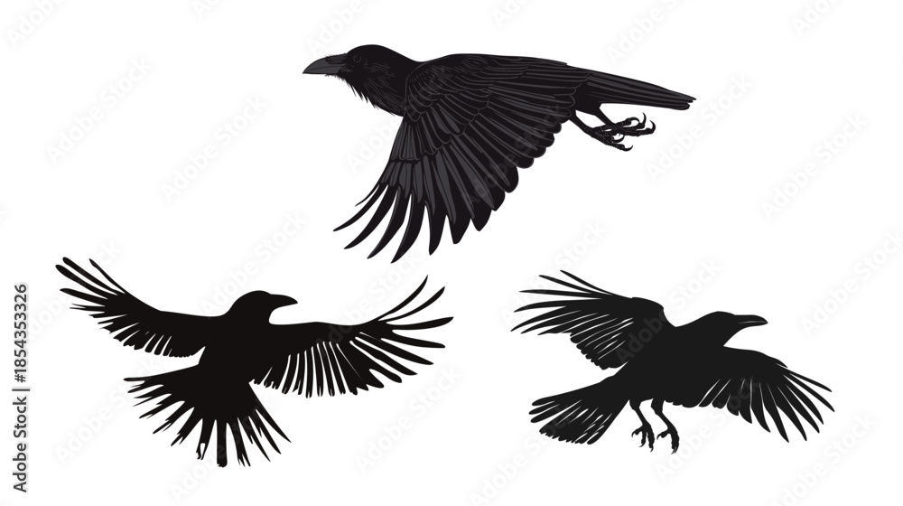 Obraz premium Black crow flying silhouette, dark mysterious bird in motion, gothic symbol isolated on white or black background