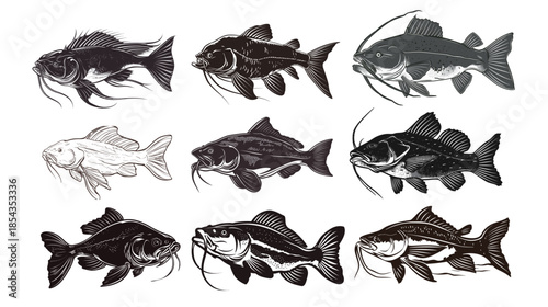 Black bullhead catfish line art illustration, black and white outline drawing of freshwater catfish with whiskers, minimalist fish sketch isolated on white background