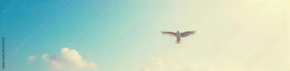Obraz premium A lone bird in flight, wings outstretched against a vast, clear sky, symbolizing limitless freedom and boundless possibilities The image evokes a sense of escape and liberation , sun, open