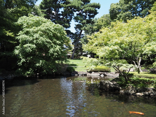 大田黒公園の風景