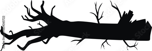  Silhouette of a broken tree branch.