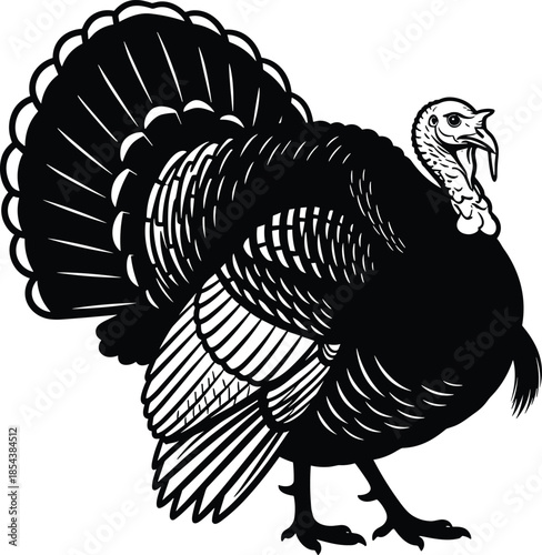 Black silhouette of a wild turkey bird, male turkey with tail feathers fanned out, thanksgiving holiday symbol, farm animal, vector illustration, isolated