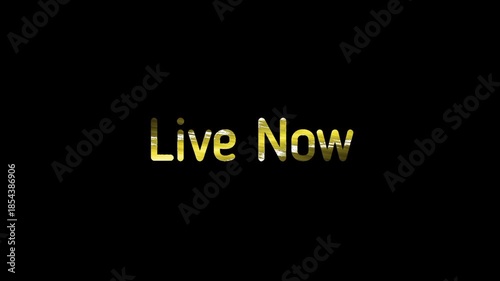 Modern Startup Text Animation Intro