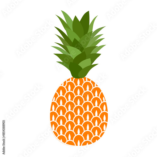 pineapple fruit illustration, summer fresh fruit theme	
