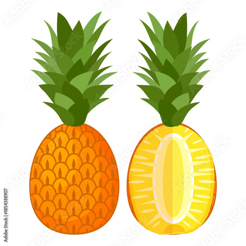 pineapple fruit illustration, summer fresh fruit theme	
