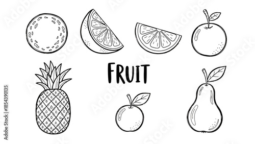 Outline drawings of various fruits with a title on a white background