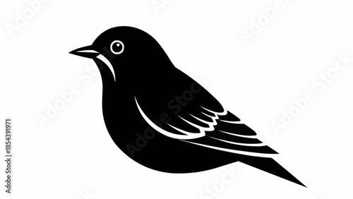 bird on a white background