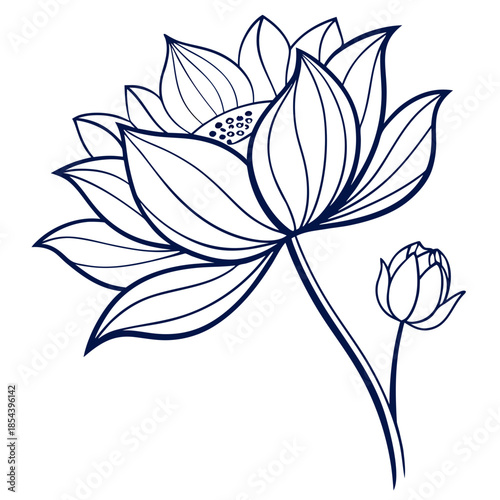 Elegant line drawing of a lotus flower