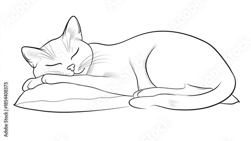 Sleeping cat rests peacefully on a pillow in a simple black and white line drawing