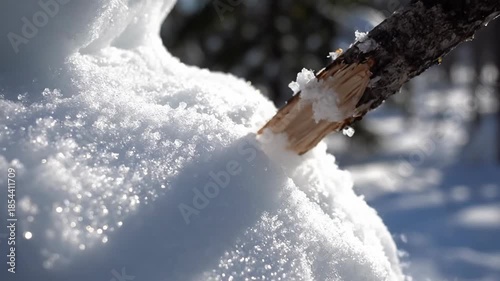 Winter's icy embrace on a snow-covered landscape
