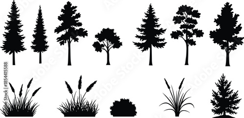 Silhouette of trees and plants, forest illustration, natural vegetation, pine and deciduous trees, grass silhouettes, black and white designSilhouette of trees 
