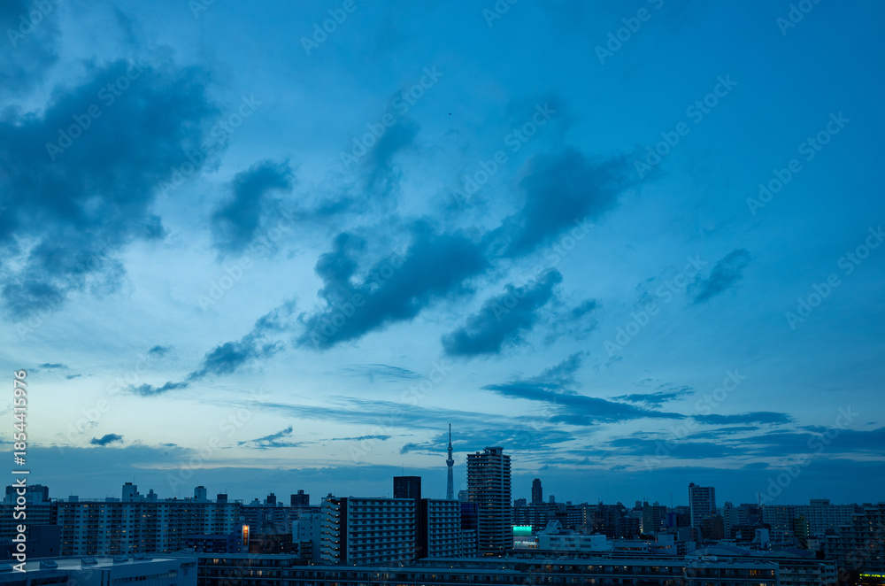 Fototapeta premium 都会の夜が始まる直前