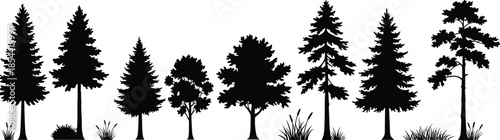 Silhouette of trees and shrubs, forest landscape illustration, natural vegetation, pine and deciduous trees, black and white design, ecology artwork