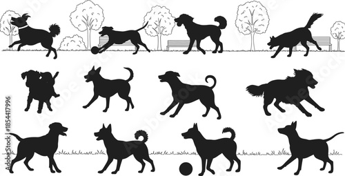 Silhouette of playful dogs running, jumping, and playing with ball in park, outdoor pet activity, nature background, animal behavior concept.