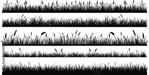 Silhouettes of grass and cattails, natural wetland plants illustration, black outline meadow design, abstract landscape background, botanical elements, eco nature art