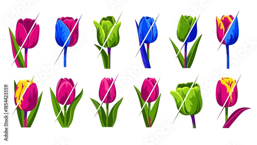 Vibrant Tulips in a Spectrum of Colors Artfully Divided with Diagonal Lines