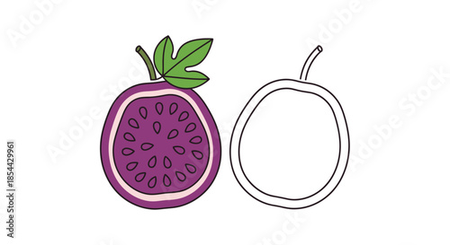 Illustration of a purple passion fruit cut in half next to its black outline on a white background.
