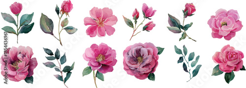 pink watercolor flower