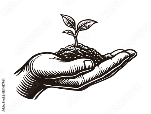 Human hand holding soil with a small growing green sprout.