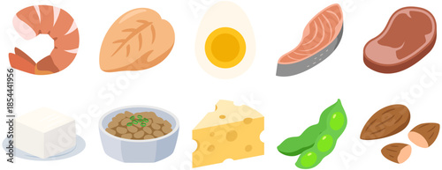 Vector Icon Set of High-Protein Foods 