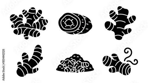 Ginger Root Silhouette Illustration of Zingiber Officinale Native Asian Spice Plant