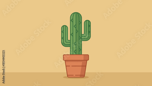 Cactus in a terracotta pot standing upright.