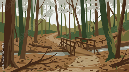 Forest wooden bridge in serene woodland.