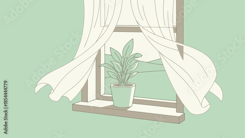 Potted plant on sunny windowsill with leaves.