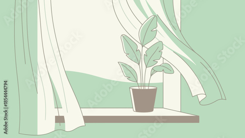 Potted plant on windowsill with flowing curtains.