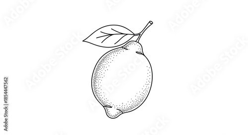 Black and white dotwork illustration of a whole lemon with a leaf, created with a stippling technique for a vintage, textured appearance.