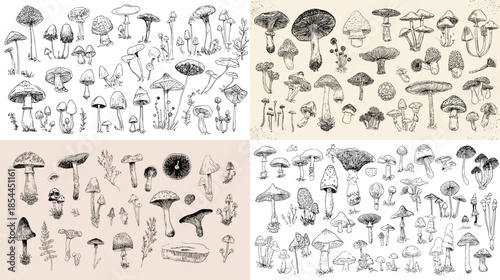 Hand drawn mushroom illustrations in sketch style arranged as a collection, ideal for botanical studies, forest themes, educational materials, and vintage nature graphics.