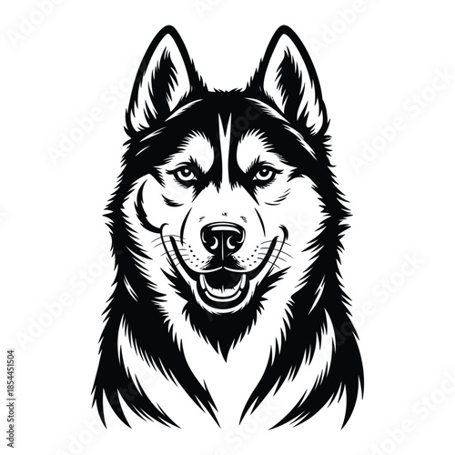 A striking black and white portrait of a husky dog s head