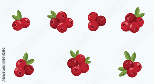 Group of various red berry clusters with green leaves, such as cranberries or lingonberries, for nature and food themed designs.