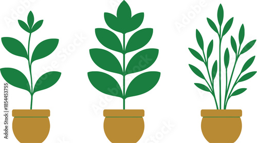 Three Potted Plants Indoor Decor