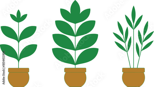 Three Potted Plants Indoor Decor