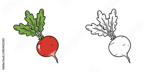 シンプルなラディッシュのアイコンイラスト