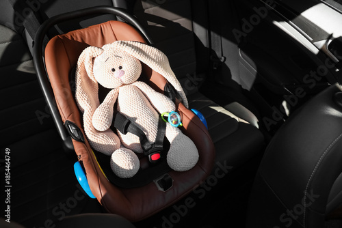Fastened toy bunny in car s...