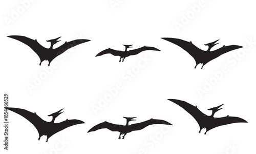 A set of six flying pterodactyl silhouettes in various poses suitable for graphic design