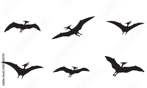 A collection of six detailed pterodactyl silhouettes for use in vector graphic design
