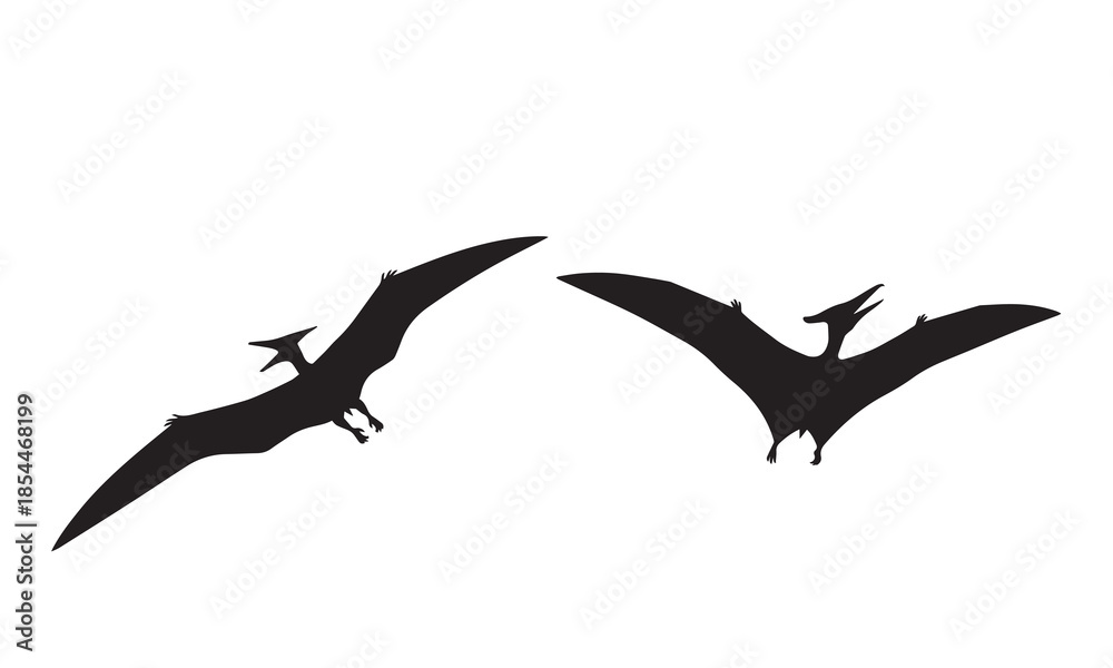 Naklejka premium Two black silhouettes of pterodactyls flying in different directions on white background