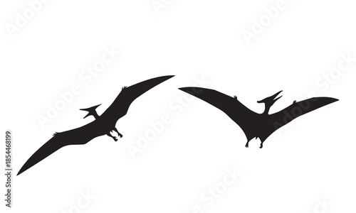 Two black silhouettes of pterodactyls flying in different directions on white background