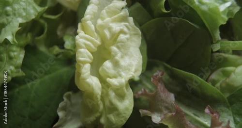 Salad close up studio shot over rotating