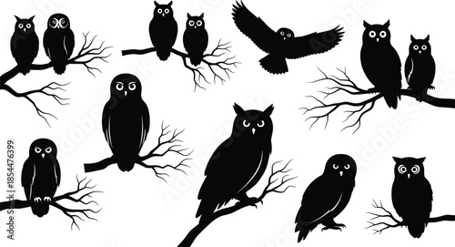 Owl silhouette collection set, night birds perched on tree branches and flying, nocturnal wildlife forest animals vector illustration, decorative black and white icons