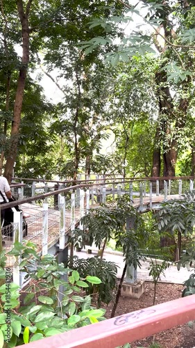 Elevated walkway winding through lush green forest canopy with sunlight filtering through trees