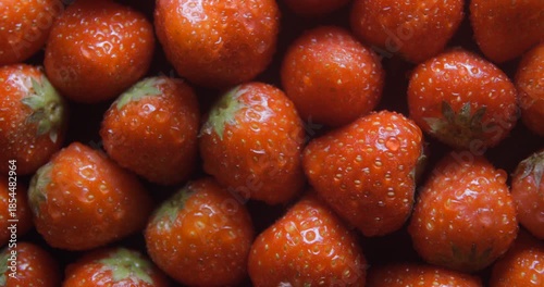 Strawberry with water drops close up studio shot over rotating
