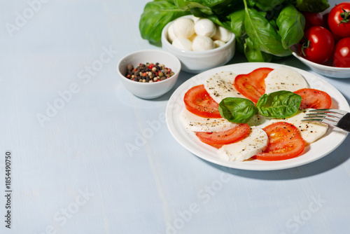 A plate of delicious salad with fresh mozzarella and juicy tomatoes