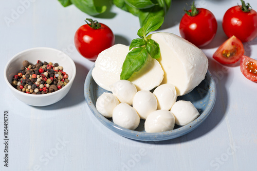 Fresh farm mozzarella with basil, ripe tomatoes and spices