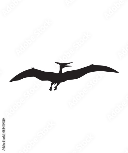 A prehistoric flying reptile pterodactyl silhouette vector graphic, ideal for design projects